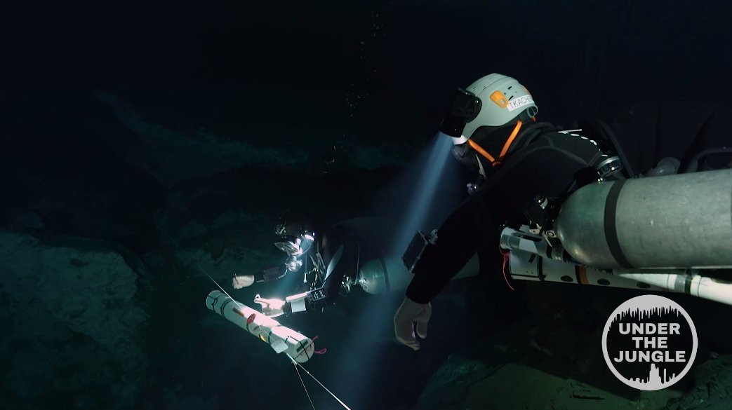 🇲🇽 Científicos de la Universidad Northwestern lideraron una serie de expediciones subacuáticas en la península de Yucatán, en #México. Buzos recolectaron muestras de agua del complejo entramado de cuevas y cenotes y lo que encontraron es asombroso. Los hallazgos aquí. 1/9 🧵⬇️