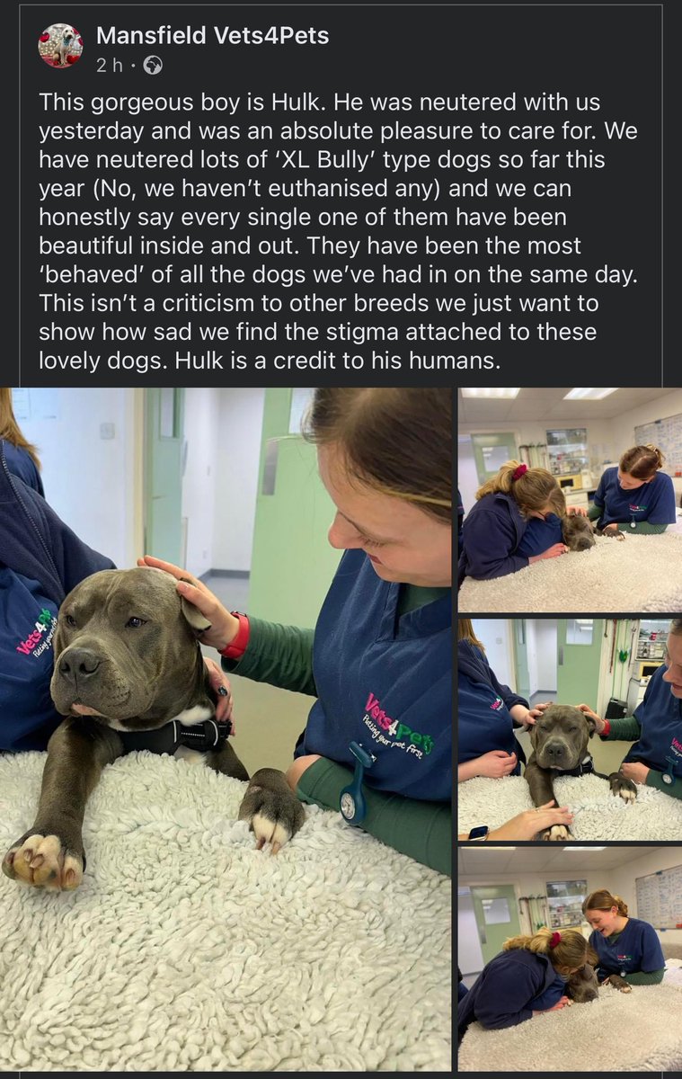 What a lovely post from a Vet. These dogs that haven’t done anything wrong don’t deserve to be judged. Those that do judge them have no place calling themselves animal lovers. A blatant disregard to the individuality of every dog.

Thank you Mansfield Vets4Pets for showing care.