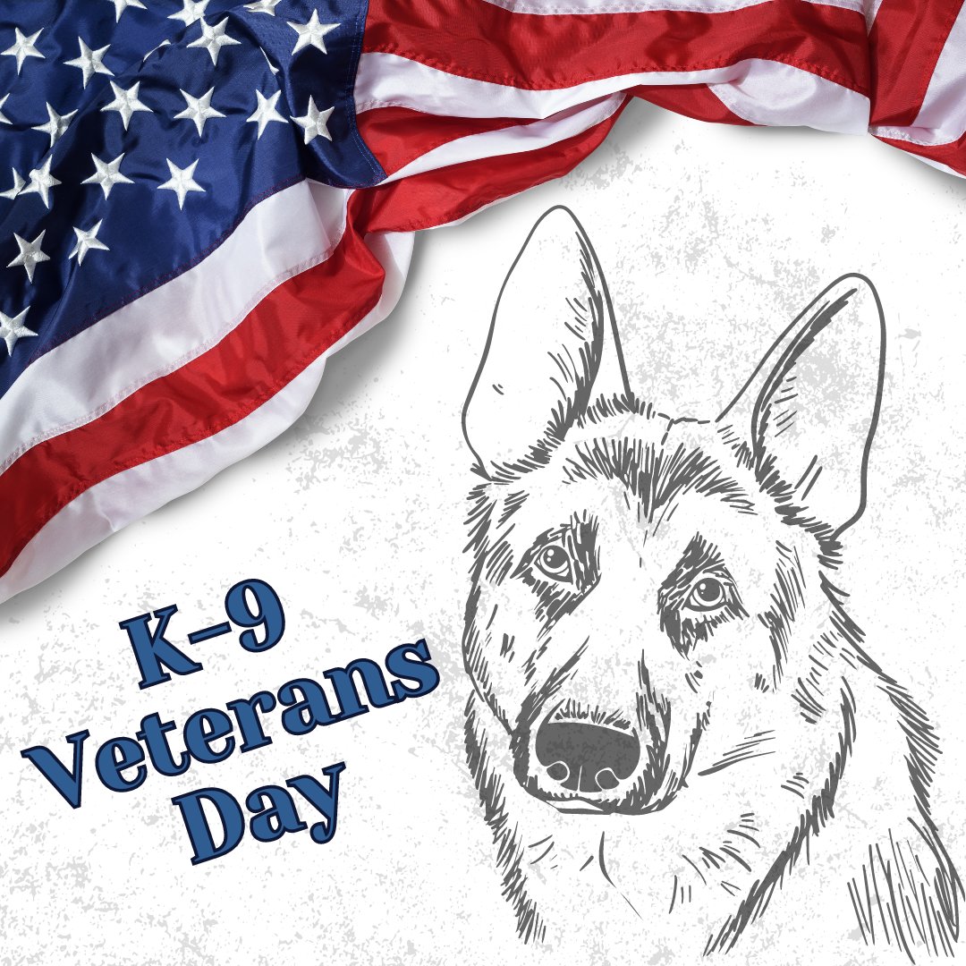 Today we celebrate the selfless service of man's best friend. To all the currently serving military canines and those who have come before them, we salute you and thank you for your loyalty and service.