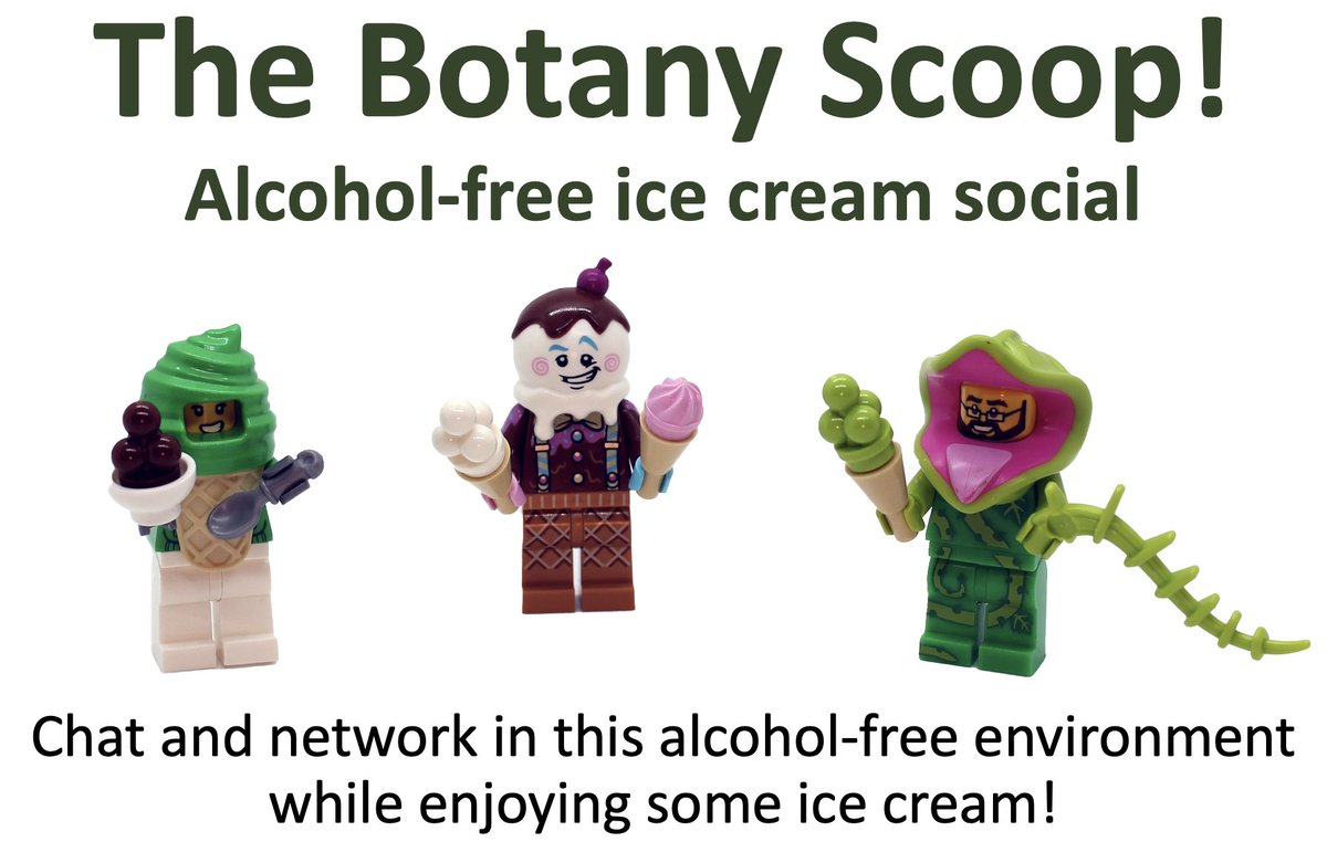 Anyone interested in co-organizing an alcohol-free social or networking event at #Botany2024 with me? I've organized The Botany Scoop alcohol-free social the last 2 years but am happy to change formats. Here's the link with info and last year's event ad: docs.google.com/forms/d/e/1FAI…