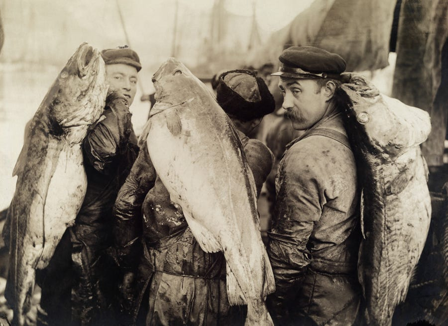 The Grand Banks were once teeming with cod so abundant, it was said you could nearly walk across the sea. 🐟 Fast forward a few decades, and it was a vastly different story. Dwindling to a mere 1% in the 90's, the advent of advanced fishing technologies – radar, GPS, trawlers –