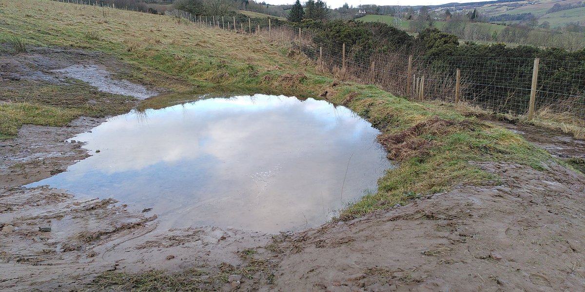 More new wildlife and flood storage ponds finished off. Getting close to the target of 50 ponds on the farm by my 50th birthday. No rush, that date is years away......😬