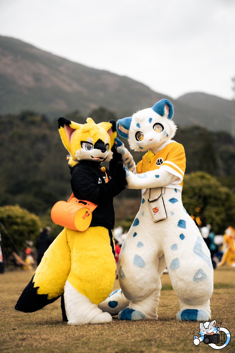 #FursuitFriday

和阿嚏（不是）

和阿年的侦探豹豹！！
🐆：<a href="/iambicdf/">阿年菌</a> 

📷：<a href="/TTimm00445711/">TTimm</a> ←爹我已经说累了 神

场地：@森罗万兽←nb