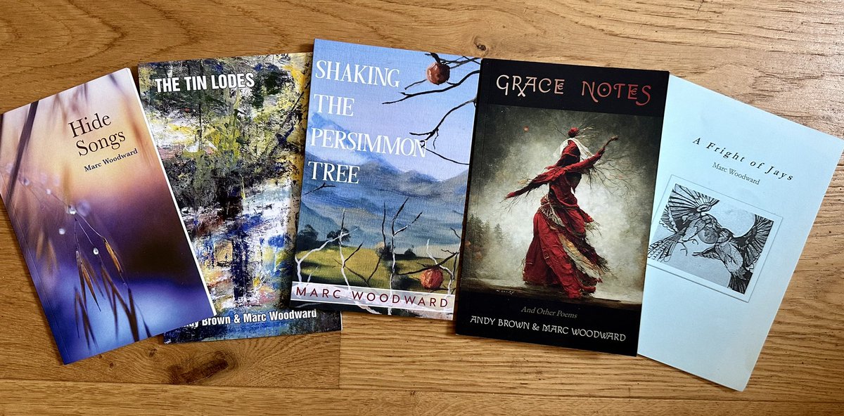Marcomando's tweet image. World Book Day! Here are some books. Everyone should own a book. 
DM if you’d like one 😊😉 #WorldBookDay #poetry #GraceNotes