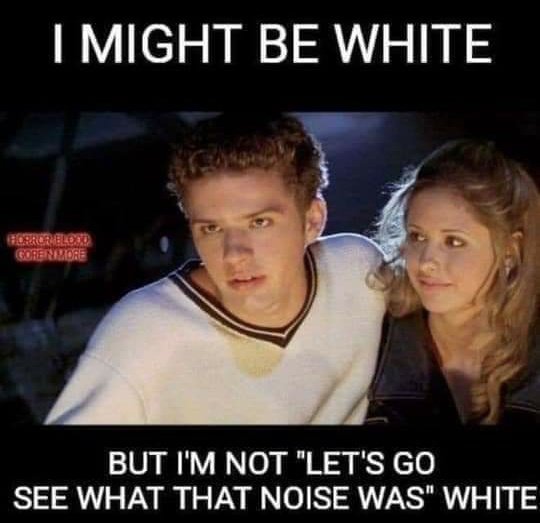 MeekalShaukat's tweet image. Lekin Baqoul e (Carl Fredrich) Gauss Bhai, Noise to hota hi White hai #AWGN #EngineeringJokes