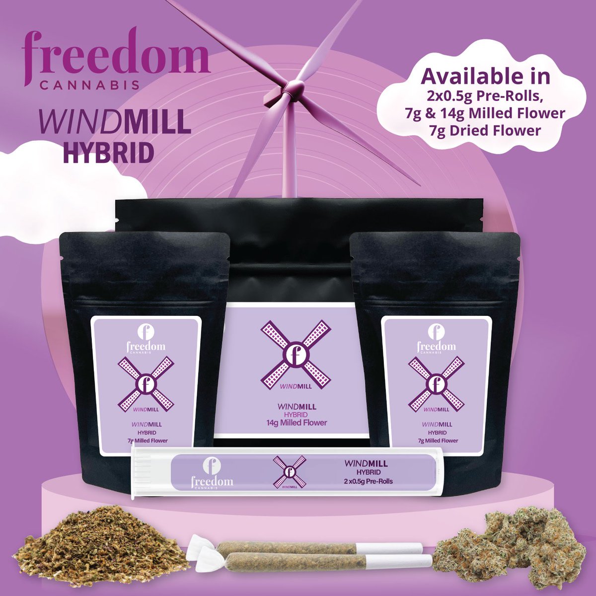 Freedom Cannabis tweet media