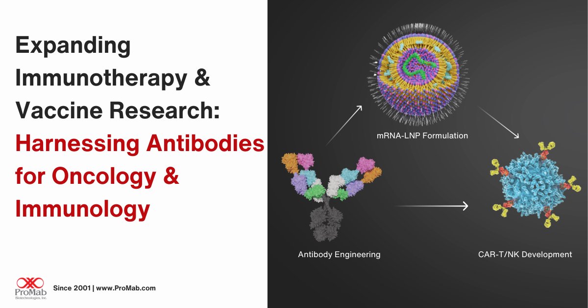 ProMabBiotech's tweet image. We are here to boost your immunotherapy and vaccine research with specialized antibodies. Make the next step in your research and learn more about us at:  hubs.li/Q02nsdZN0 #BioTechRevolution #InnovateWithPMB #ProMabBioTech #ProMabBioEra