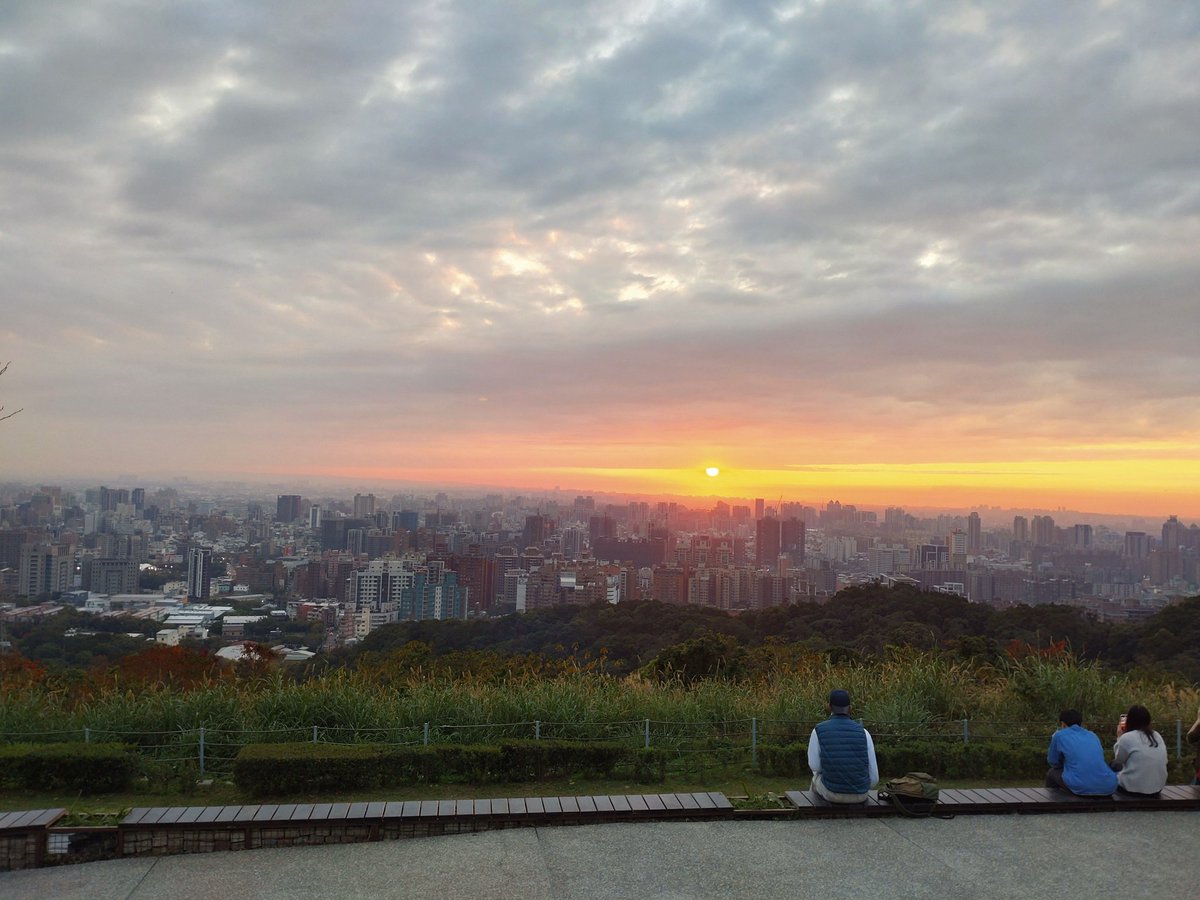 野生枕頭 tweet media