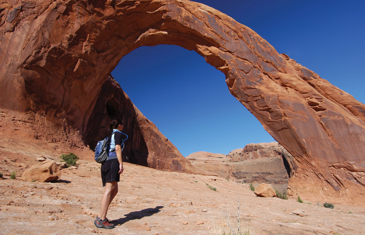 Gate 1 Travel tweet media