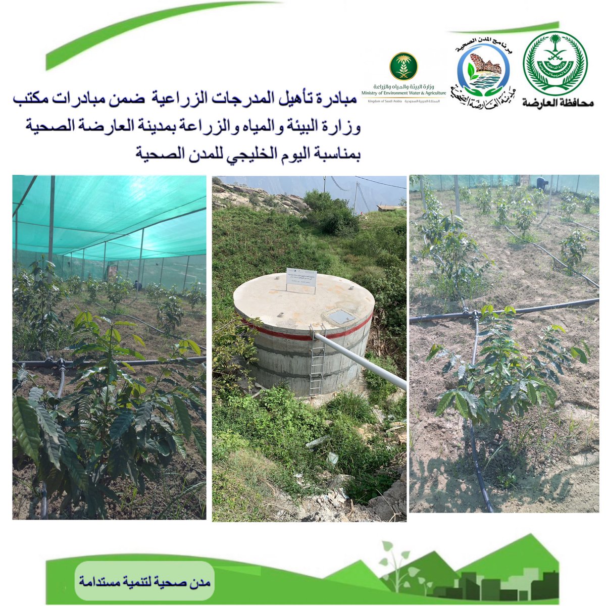 AL_ARDAH2019's tweet photo. #مدن_صحية_لتنمية_مستدامة
#اليوم_الخليجي_للمدن_الصحية

نفذ مكتب وزارة البيئة والمياه والزراعة بمدينة العارضة الصحية مبادرة تأهيل المدرجات الزراعية بمناسبة اليوم الخليجي لبرنامج المدن الصحية https://t.co/sGyOAdpN7Q
