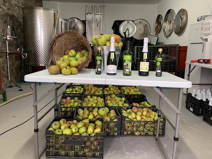 Las sidras de El Lagar de Valleseco obtienen en la Catavinum World Wine &amp; Spirits Competition 2024, cuatro medallas, dos de oro y dos de plata 👉🏻 

🥇Sidra Brut Método Tradicional 2022

🥇Sidra Semiseco Método Tradicional 2022

🥈Sidra Natural 2022

🥈Sidra Extra Lobo 2023