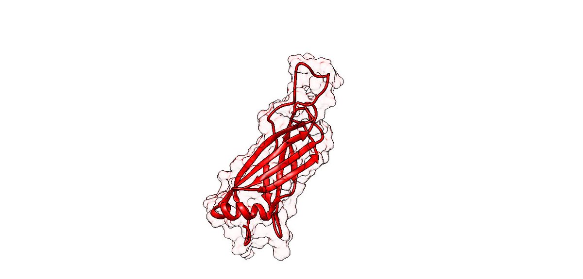 ACGuillen17's tweet photo. 3-D structures of the 2 only (!!) Late Embryogenesis Abundant (LEA) proteins featured in @PDBeurope : LEA14 (PDB: 1XO8; red) and LEA27 (PDB: 1YYC; cyan) from Arabidopsis thaliana. Images made with @UCSFChimeraX #UCSFChimera #LEAproteins https://t.co/WtJluvONf1