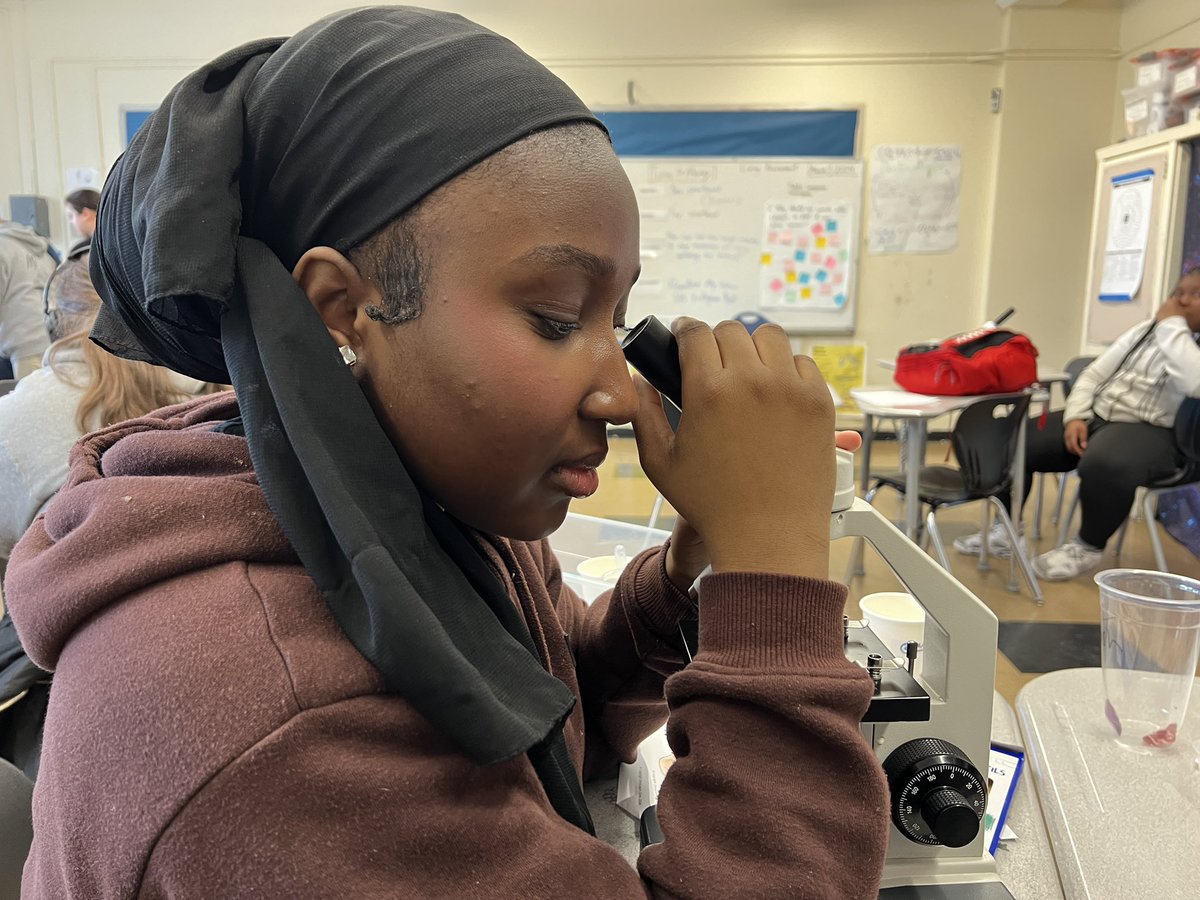 Exploration & Discovery tweet media