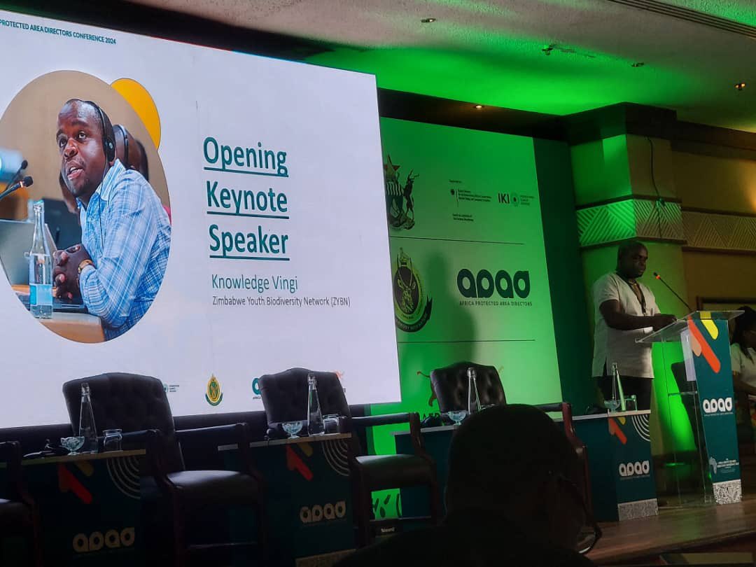 Zimbabwe Youth Biodiversity Network (@zybn_cbd) on Twitter photo On behalf of the African Protected Areas Congress Youth Members <a href="/vingiknowy/">RangerIII🐝🕷️🌿🦋🐊🐾🐾</a> had the honor to deliver a keynote speech on why it is important to integrate youth into conservation at the ongoing Africa Protected Areas Directors Conference 2nd edition.
#IamZYBN #apacyouth #APAD On behalf of the African Protected Areas Congress Youth Members <a href="/vingiknowy/">RangerIII🐝🕷️🌿🦋🐊🐾🐾</a> had the honor to deliver a keynote speech on why it is important to integrate youth into conservation at the ongoing Africa Protected Areas Directors Conference 2nd edition.
#IamZYBN #apacyouth #APAD