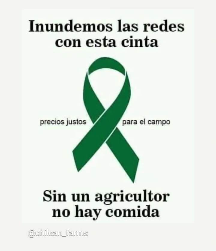 Alberto85366967's tweet photo. https://t.co/QKlFzfynDk