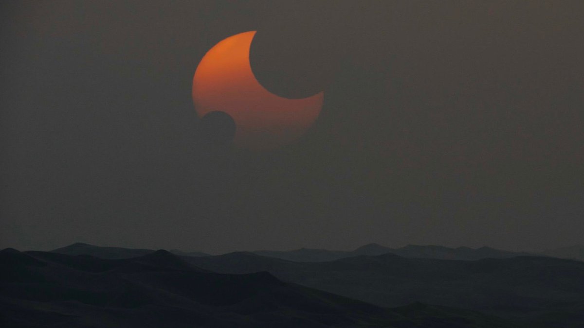 Culture Crave 🍿 tweet media