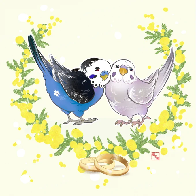 【ミモザ】再掲うちのミモザもだいぶ穂先が黄色くなり始めました。開花が楽しみ(今朝は雪かぶって重そうにしだれてますが…)桜の季節ももうすぐですね(気が付けばひらぶー期間が終わっていました) 