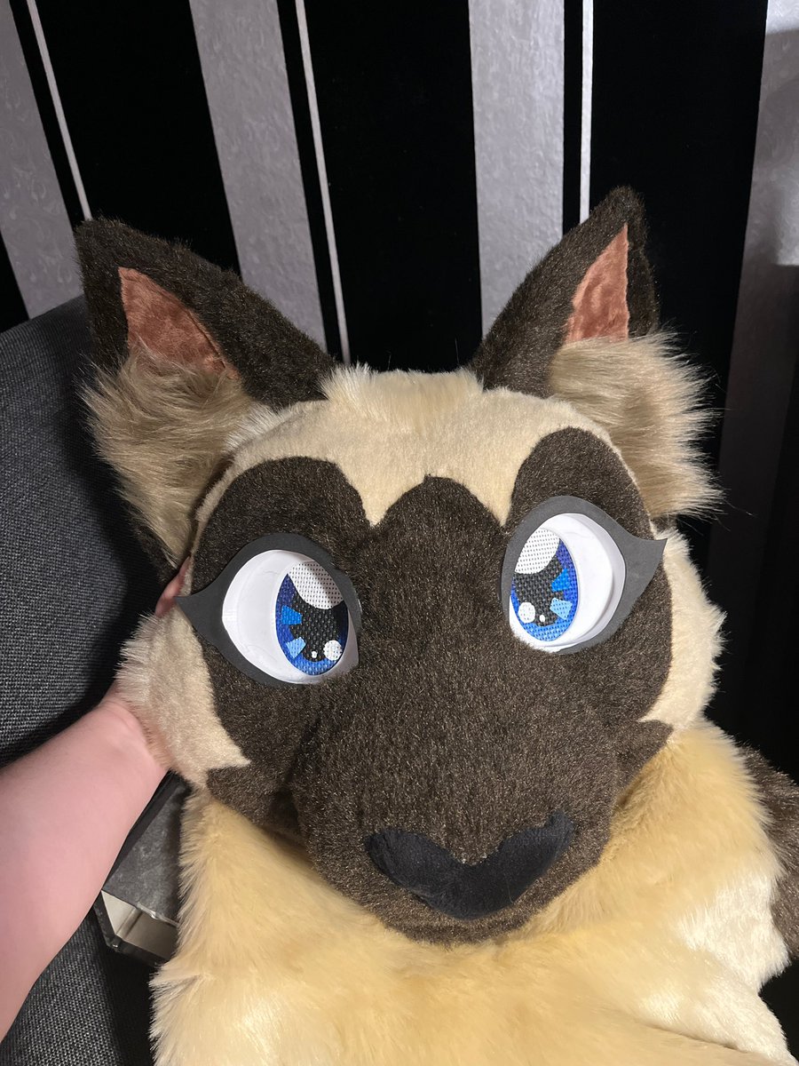 Meow meow meow @karuteru pretty cat meow meow Also the first cat suit I’ve ever made She turned out sooo cute With 3d follow me eyes Magnetic tongue Fully lined Fit for glasses Lightweight Foam base from @nukecreations More pictures soon !!