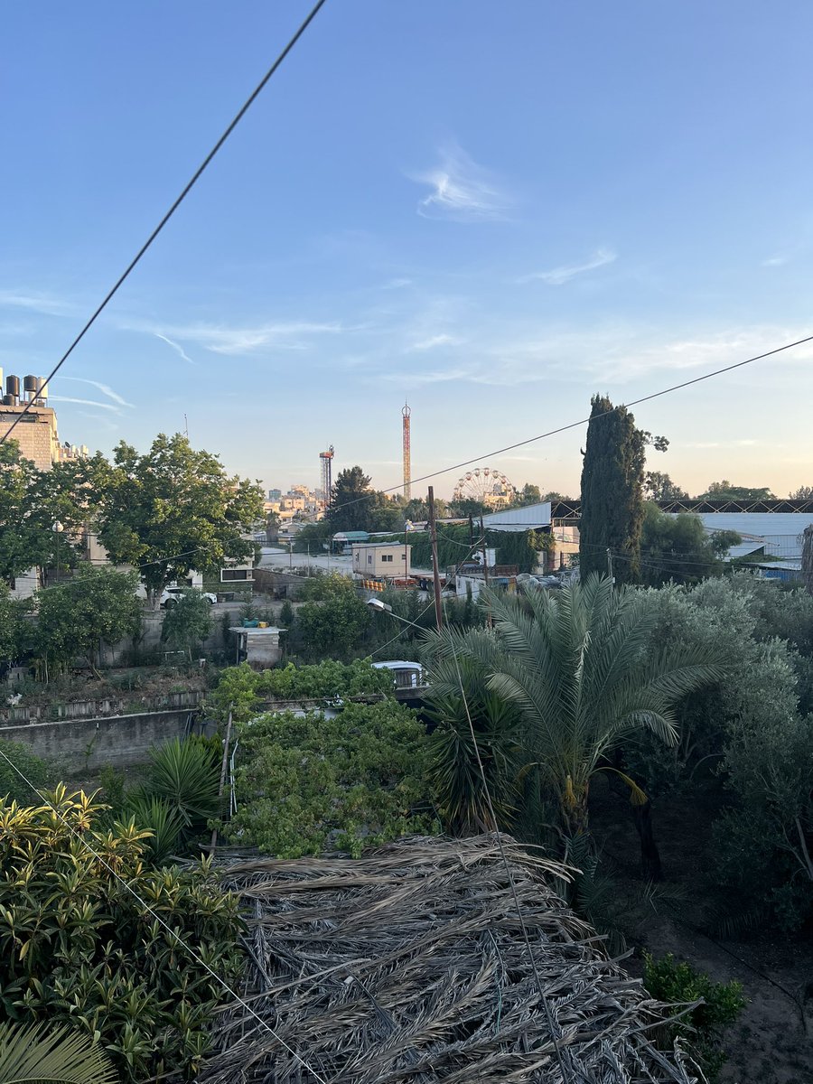 take me back to palestine :/