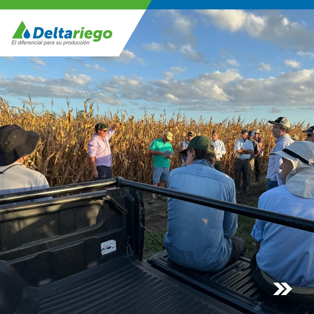 deltariego's tweet photo. Participamos de la Jornada de Campo: Maíz y Soja bajo riego 🌾💧
Un evento con aprendizajes y mucha experiencia.

Compartimos parte de lo vivido 📸
@regadoresuy

#Deltariego #Valley #Riego #Uruguay https://t.co/MQuzFSDqaR