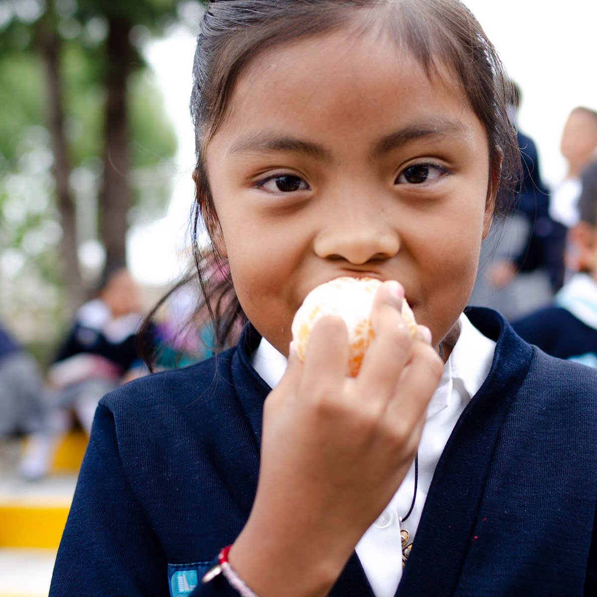 . @UNICEFMexico celebra la aprobación unánime de la Ley General de Alimentación Adecuada y Sostenible de @Mx_Diputados. Esto es un avance importante para que la niñez tenga mayor acceso a una alimentación nutritiva, accesible y sostenible y así prevenir la mala nutrición.