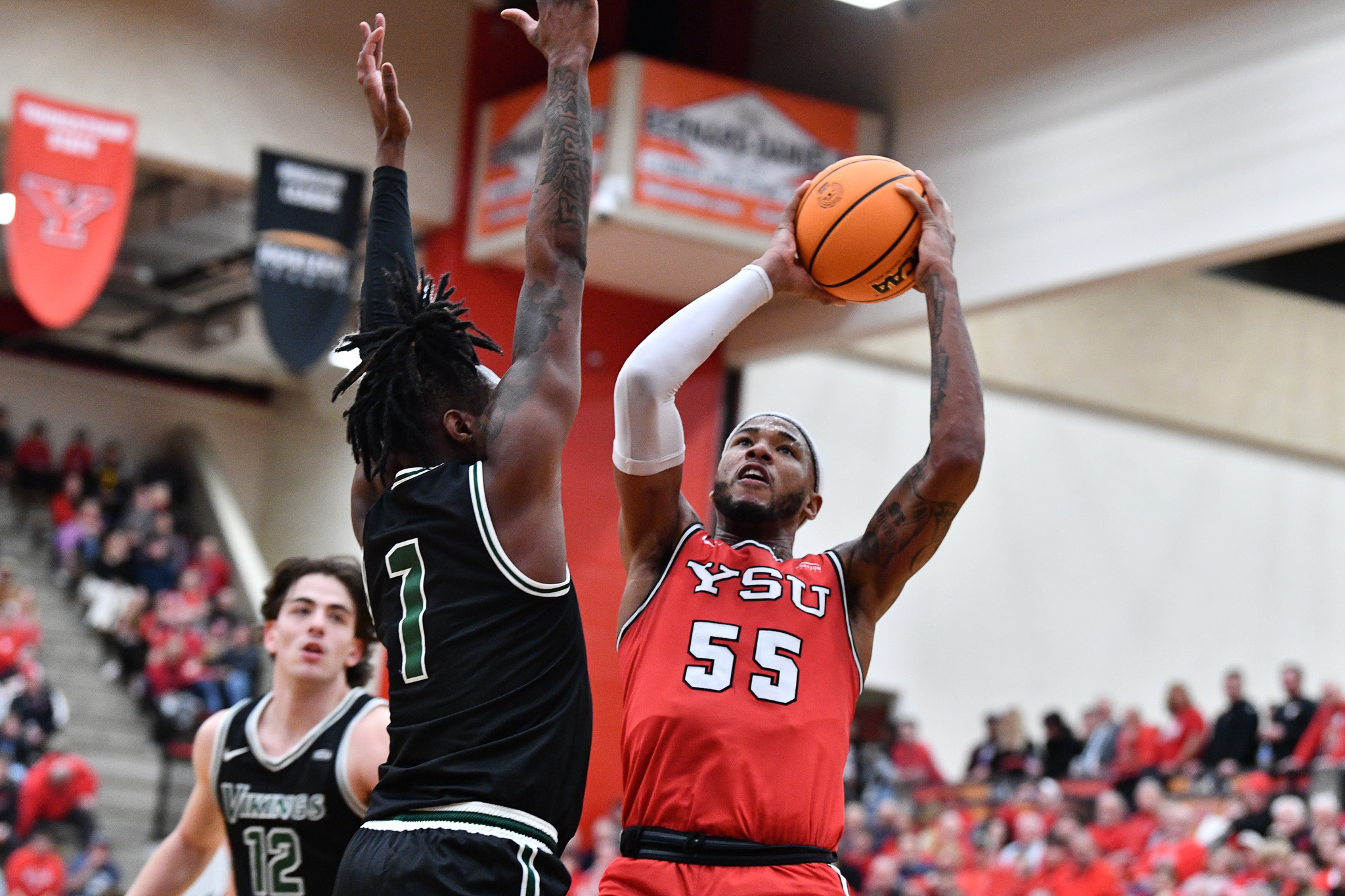 Ysu basketball on sale