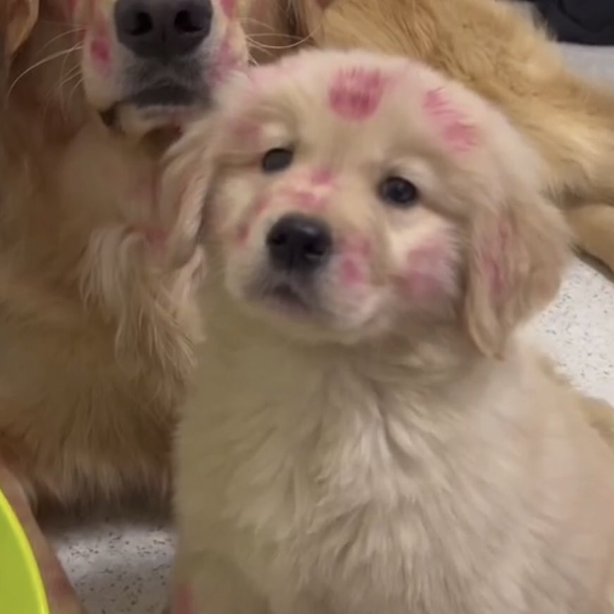 บอกว่าให้จุ้บทีเดียวไง งอน