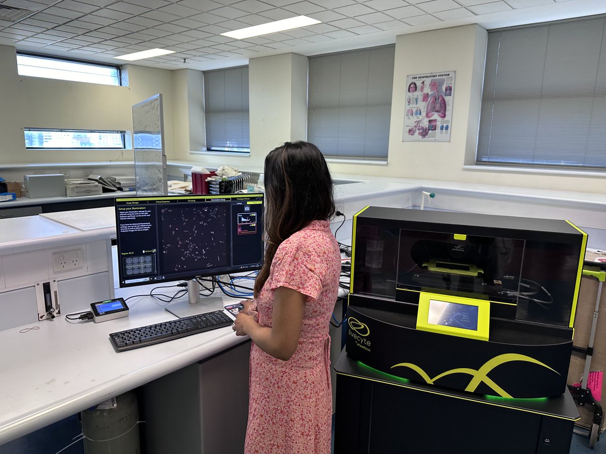ATA Scientific (@atascientific) on Twitter photo Tuning up some cells for a weekend of imaging <a href="/LightMicroAus/">Light Microscopy Aus</a> workshop <a href="/UniMelb/">University of Melbourne</a> <a href="/PhaseFocus1/">Phasefocus</a> thanks Meetal Tuning up some cells for a weekend of imaging <a href="/LightMicroAus/">Light Microscopy Aus</a> workshop <a href="/UniMelb/">University of Melbourne</a> <a href="/PhaseFocus1/">Phasefocus</a> thanks Meetal