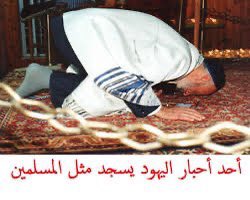 وائل tweet media