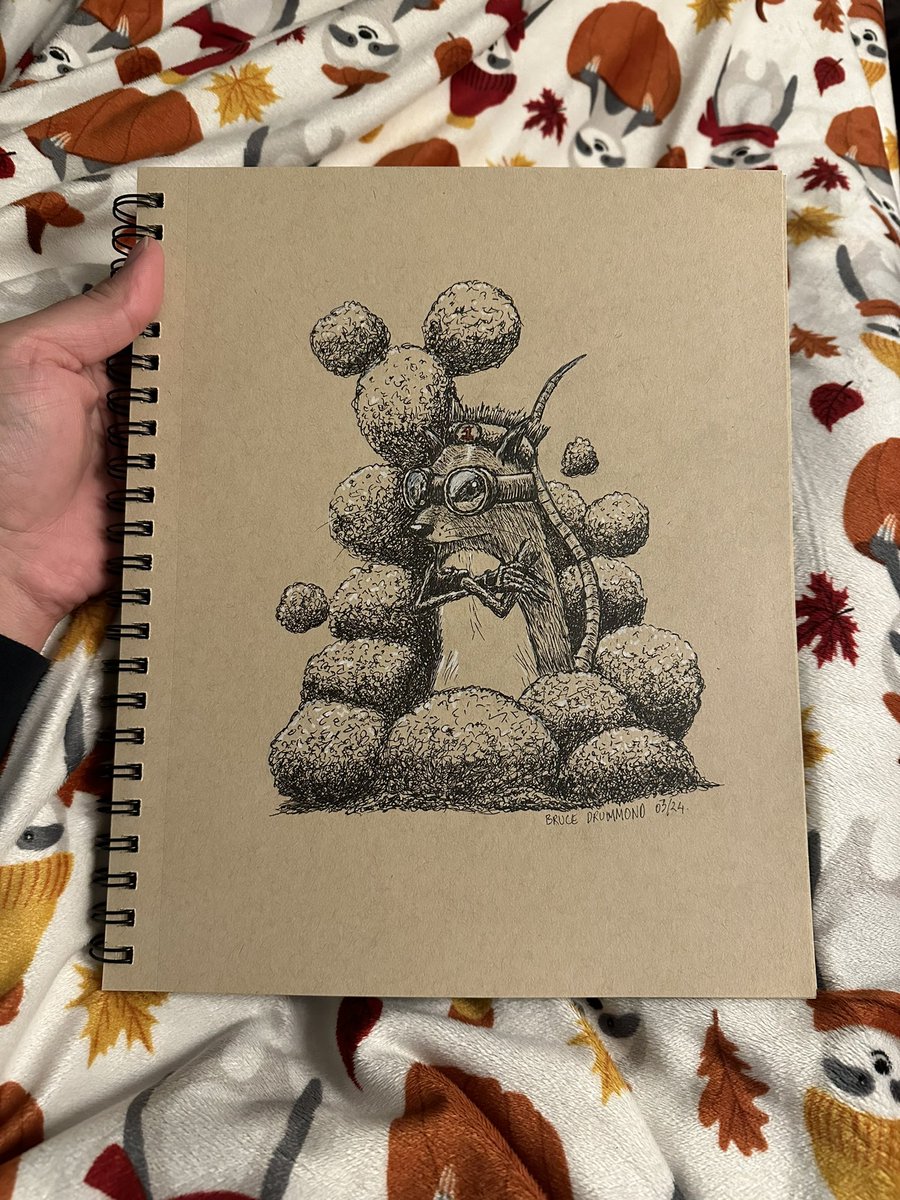 bruzed's tweet photo. The winner π π ! Sketch with gel pen and fine liner
.
.
.
#art #drawing #artist #sketch #sketchbook #pendrawing #penandink #gelpen #gelpendrawing #fineliner #finelinerdrawing #rodent #rat #winner #champion https://t.co/6uBmQmco90