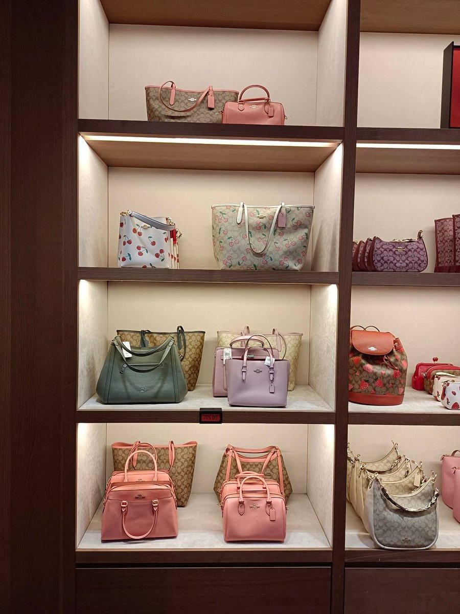 CarinAnn🦋 tweet media