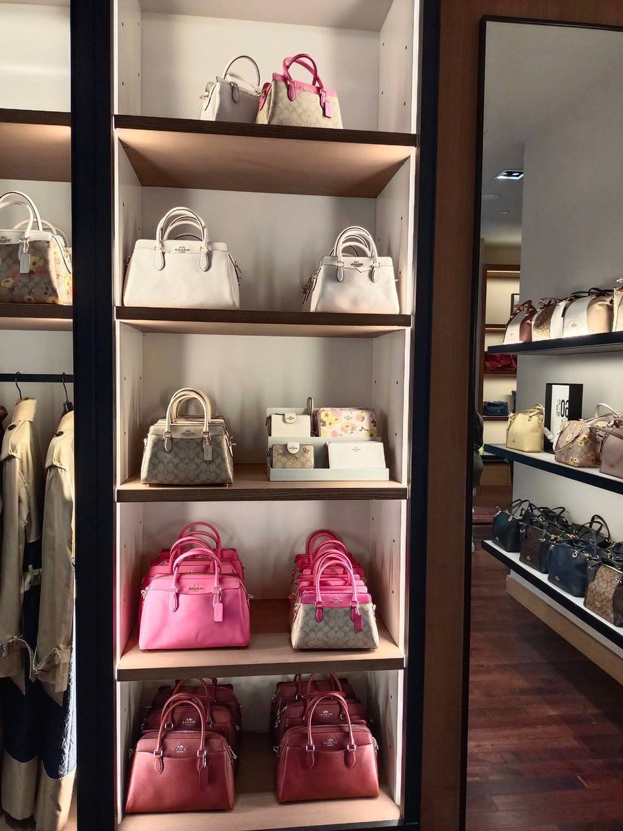 CarinAnn🦋 tweet media