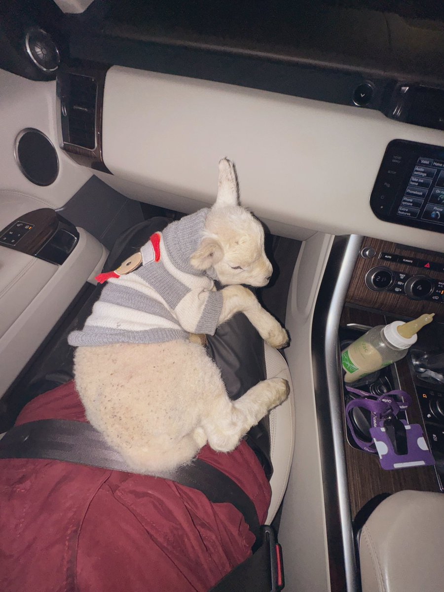 Miss Henery tweet media