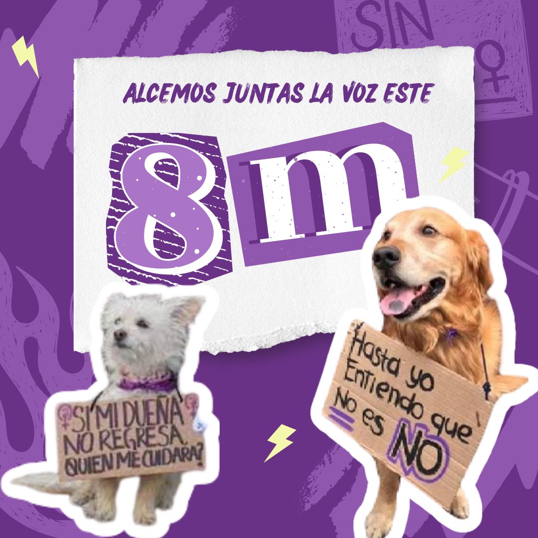 tipoyasipodcast tweet media