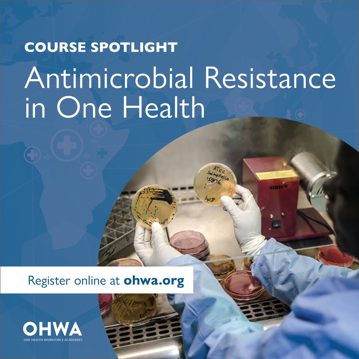 OHWA COURSE SPOTLIGHT: Antimicrobial Resistance in One Health (Introductory AND Advanced Level courses) The introductory course covers the principles, causes, and applications of #antimicrobialresistance (AMR) in #OneHealth sectors. The advanced level course provides…