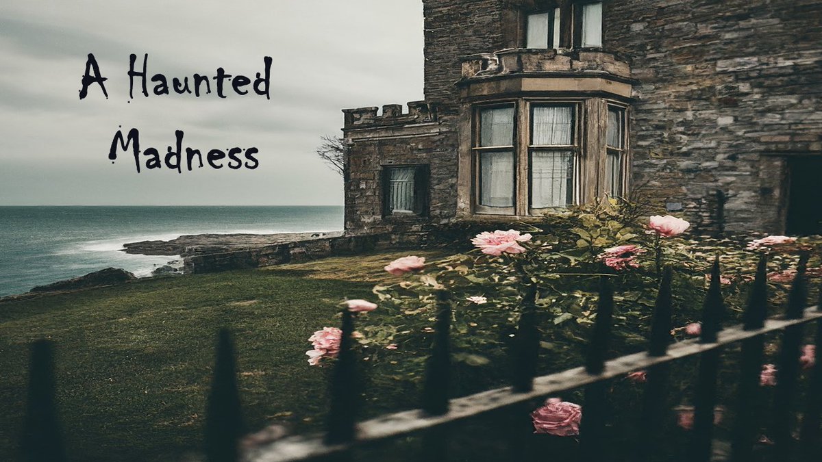 Coming soon!
Two cousins, one inheritance.
In the heart of a sprawling estate, where the echoes of history whisper through the halls and shadows dance in the flickering candlelight, two cousins find themselves locked in a bitter struggle over a vast inheritance.
Olivia mourns her