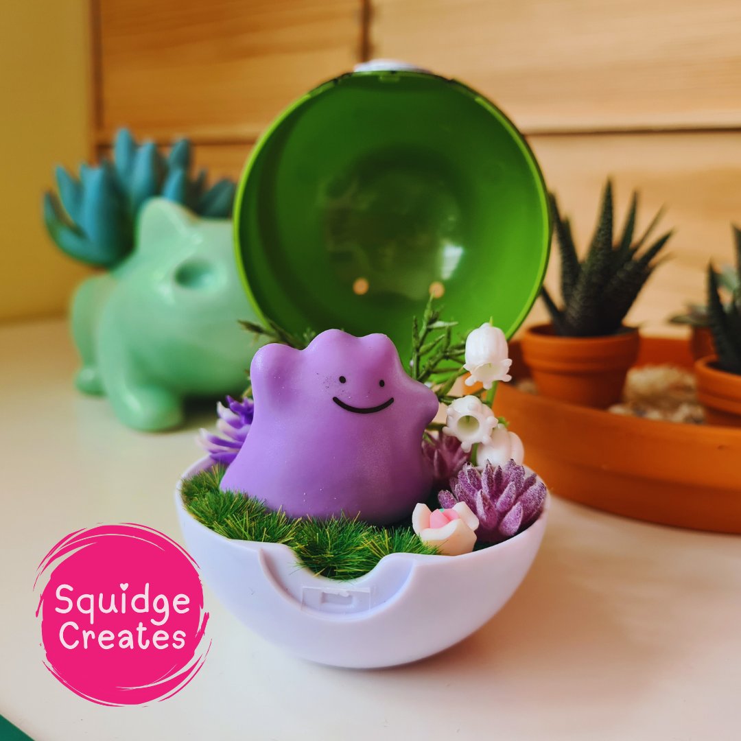 Laura Donaghy tweet media