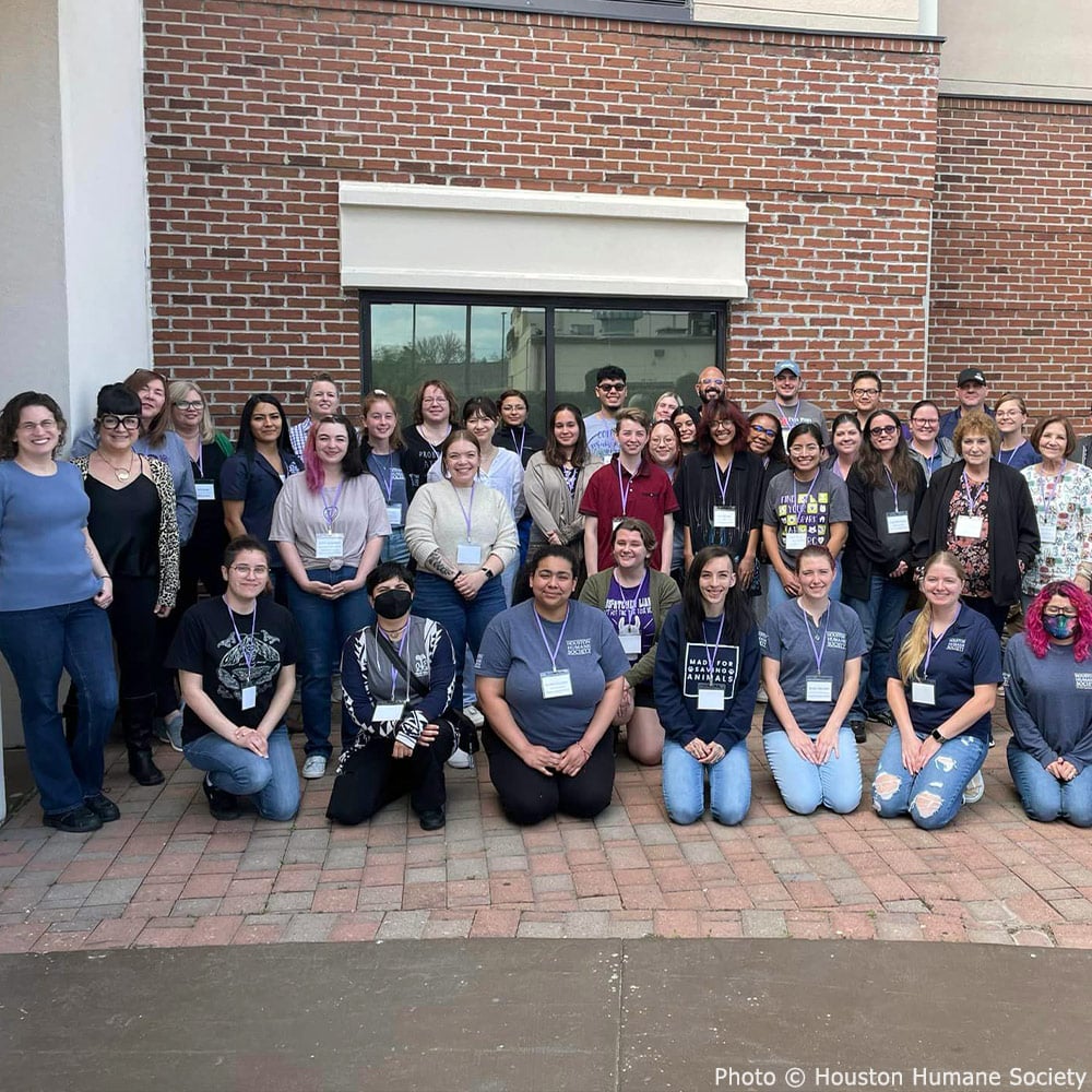 GreaterGoodorg's tweet photo. Howdy from Houston! 😸 It's time to help shelter cats in Texas, as our #CatPawsitive360 experts are visiting @HoustonHumane this week for another 2-day immersive workshop! 🐈💚 #AmplifyTheGood https://t.co/y3natssHOJ