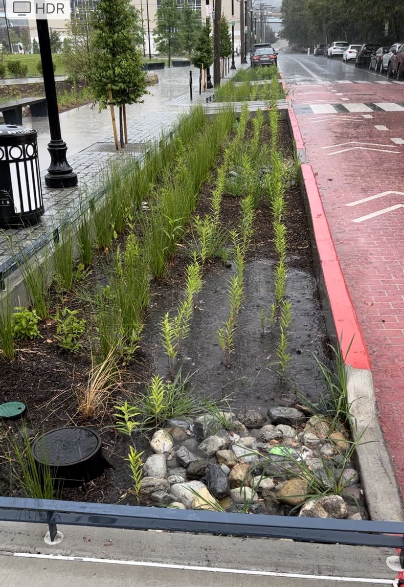 Climate resiliency and Vision Zero often go hand in hand. At our new ResilienCity Park, we installed 11 rain garden curb extensions like this one, reducing the time pedestrians are in the street. The 19 total rain gardens in the park also retain 185,000+ gallons of rainwater to
