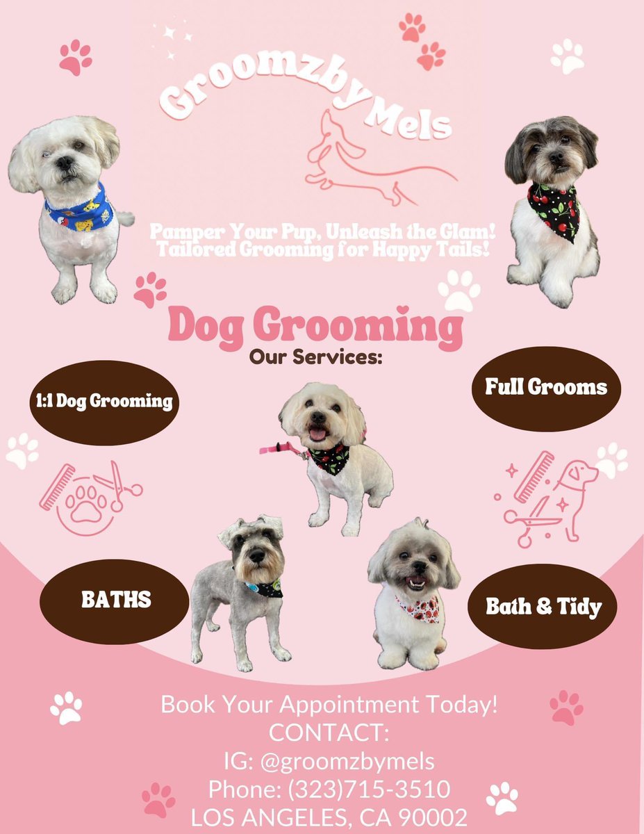 itsmelisssa__'s tweet photo. 🐾🩷Are you looking for someone who truly cares about your pup's well-being? Look no further than me - a Certified Local Dog Groomer dedicated to providing top quality service tailored just for them! 🐾🩷
 Find me on Instagram @ groomzbymels! 
🫧🩷Hope to meet your pups soon! 🩷 https://t.co/UDSETdgc6U