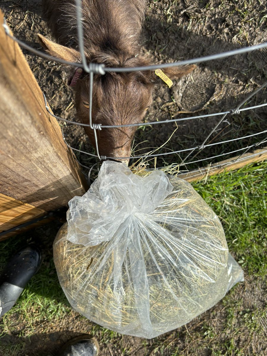 MBPSYear4 tweet media