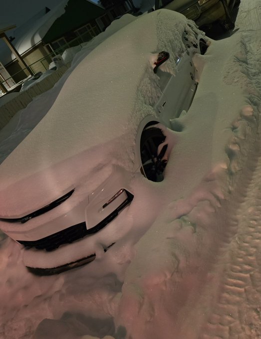 giving out 1 nude per snow shovel scoop to dig my car out 🥶🤤 https://t.co/i3hf4aKpdq<a href="/tag/palworld"class="tags"><span>#palworld</span></a>