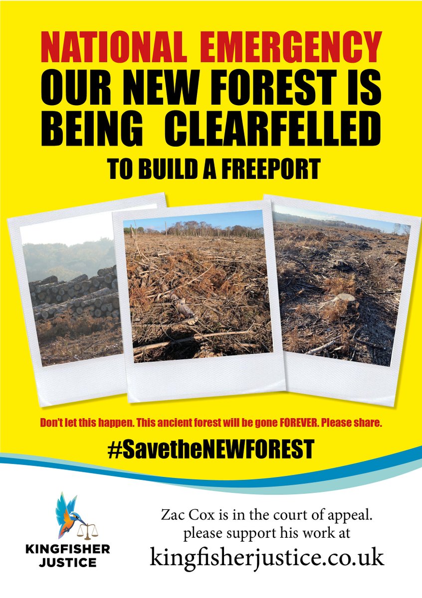 DOPercussion's tweet photo. @ChrisGPackham Dear Chris. NATIONAL EMERGENCY!!! OUR NEW FOREST IS BEING CLEARFELLED TO BUILD A FREEPORT. Don’t let this happen. This ancient forest will be gone FOREVER. Please share and support.  #SavetheNEWFOREST https://t.co/vLxqUDcVuF in the court of appeal. https://t.co/M51SUCECX1