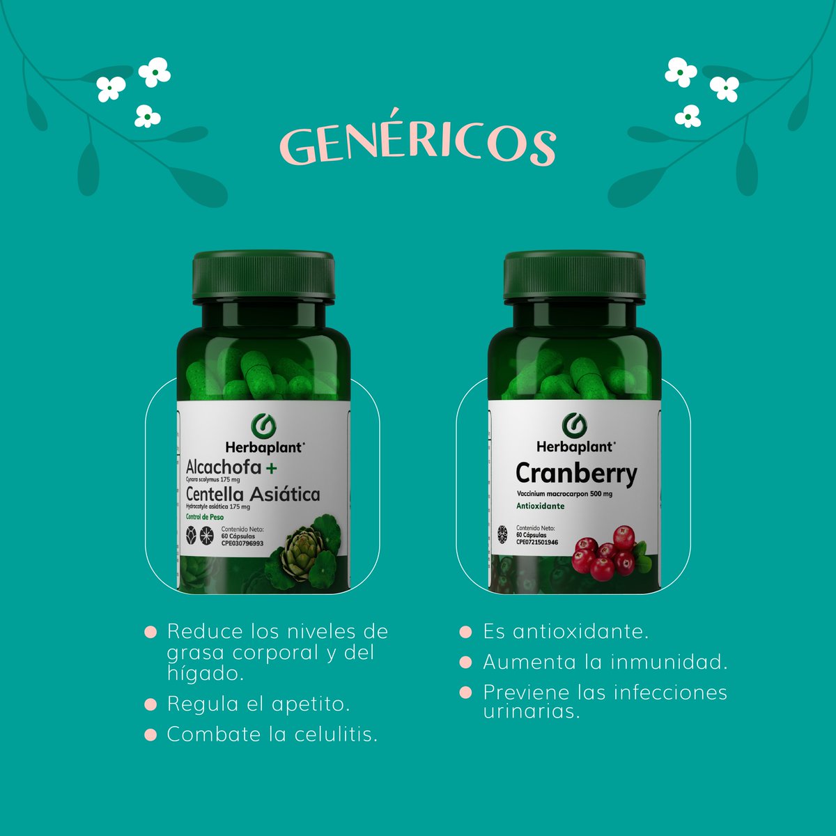 herbaplant's tweet photo. ¡Potencia tu bienestar femenino con lo mejor de la naturaleza que te ofrece Herbaplant! 💗🌺 https://t.co/fZdVo9BqPP