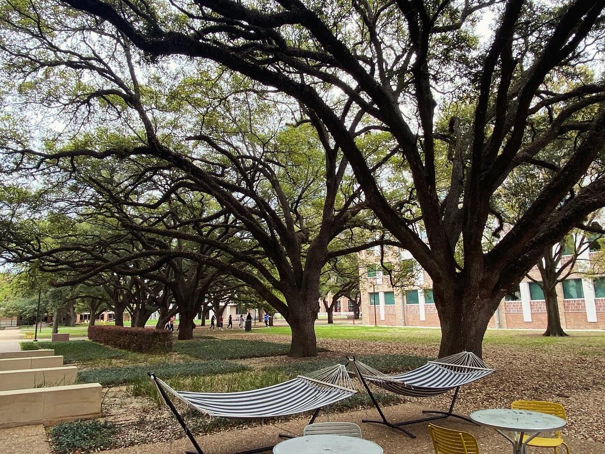 MMaldonado_3's tweet photo. @ClintHSLions #Genesis students toured prestigious Rice University today. It’s a lovely/spacious campus w/ amazing facilities/programs. Thanks for the tour &amp; warm hospitality🙏.

#WeAreClint #LionPride #WinTheDay #ClintISD100 #WeAreClintISD #RiceOwls #RiceUniversity 

@ClintISD https://t.co/bxrfBpzSxi