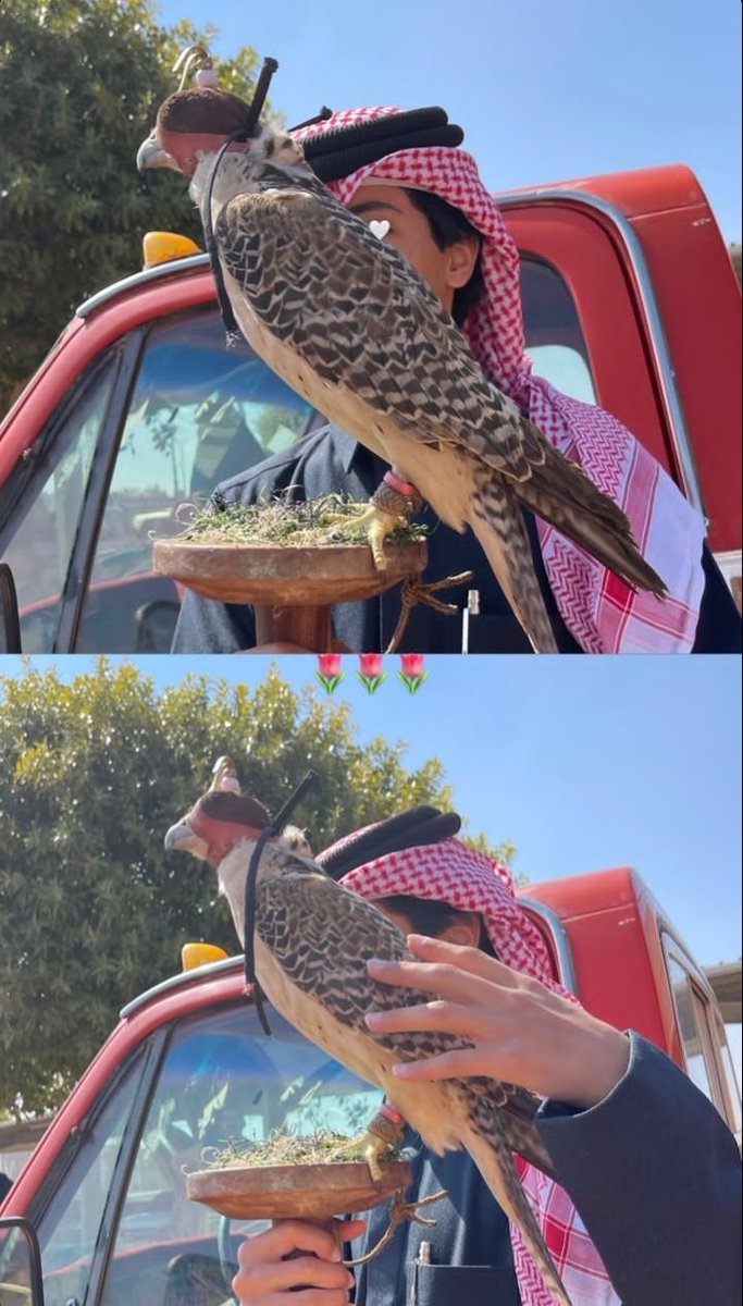 "حبيبي وأن نثرتك ما نثرتك في مهب الريح 
سكبتك من ورى عوج الضلوع وداخل أعماقي"