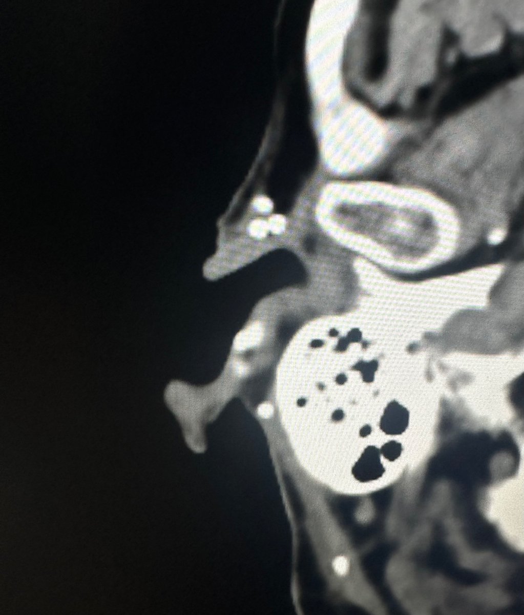 Miriam Peckham tweet media