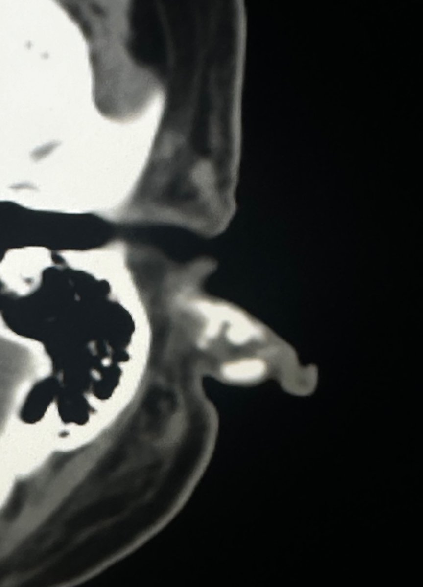 Miriam Peckham tweet media