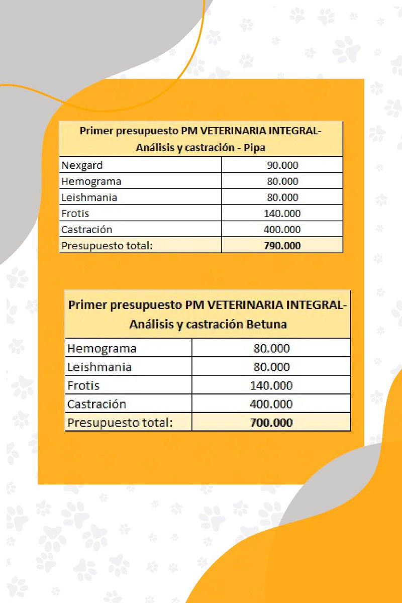 _belumb's tweet photo. Cualquier aporte suma muchísimo para que sigamos ayudando, a estas para empezar❤️ 
P.D.: No olvides dar un puñito de balanceado y un vasito de agua a los animalitos de la calle con los cuales te cruzas, c/u puede ayudar en la medida que puede❤️ RT por fa🙏🏻 https://t.co/8dPmPzG5N8