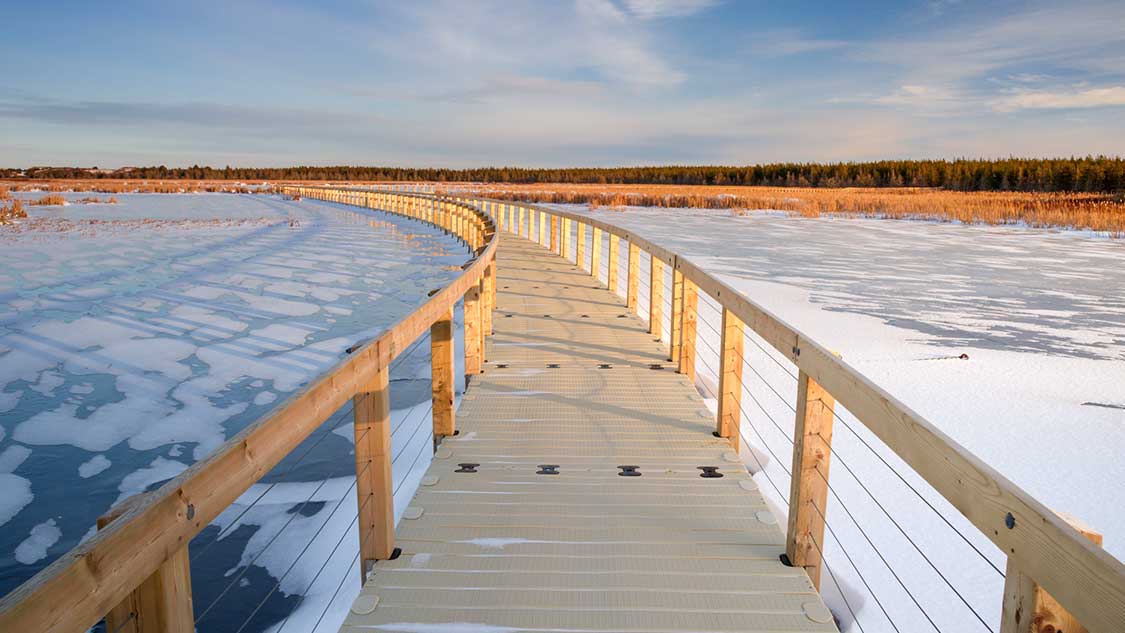 Winter's not over yet! ❄️ And lucky for us, there's still lots to love and enjoy during these chilly months on the Island.  Check out these amazing winter experiences for a delightful taste of PEI 😍⤵️

weexplorecanada.com/prince-edward-…